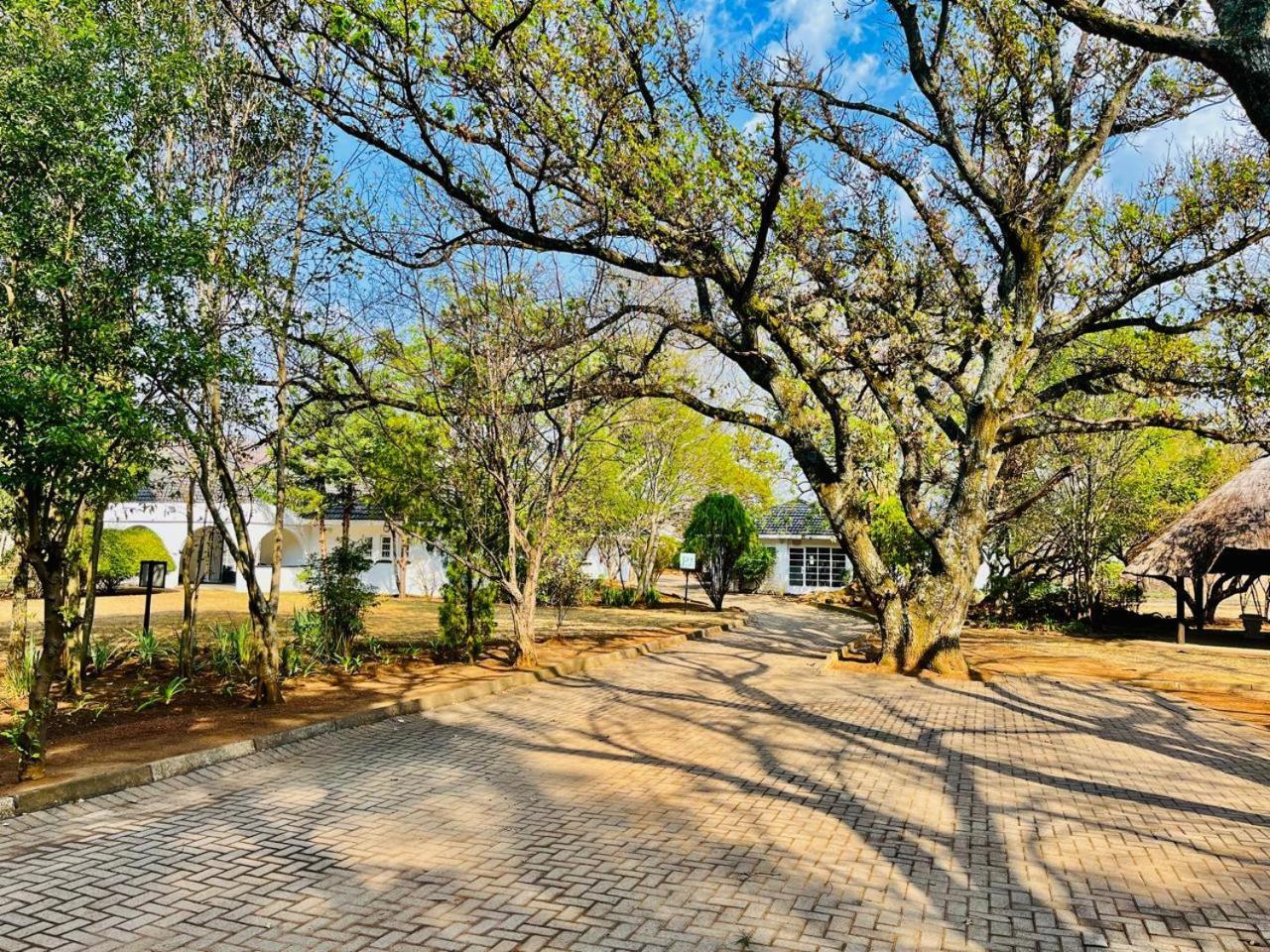 Oak Gardens Bed And Breakfast Newcastle Buitenkant foto